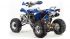 Квадроцикл на бензине Motoland 250 Dakar