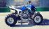 Квадроцикл на бензине Motoland 250 Dakar