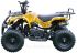 Квадроцикл детский MOTAX ATV X-16 (Электростартер)