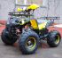 Детский квадроцикл Avantis Hunter 8+ plus 125 кубов