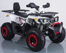 Квадроцикл Motoland WILD TRACK 200cc