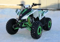 Детский квадроцикл Motoland 125 COYOTE