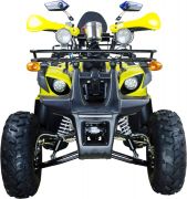 Детский квадроцикл Avantis Hunter 8 LUX 125 кубов